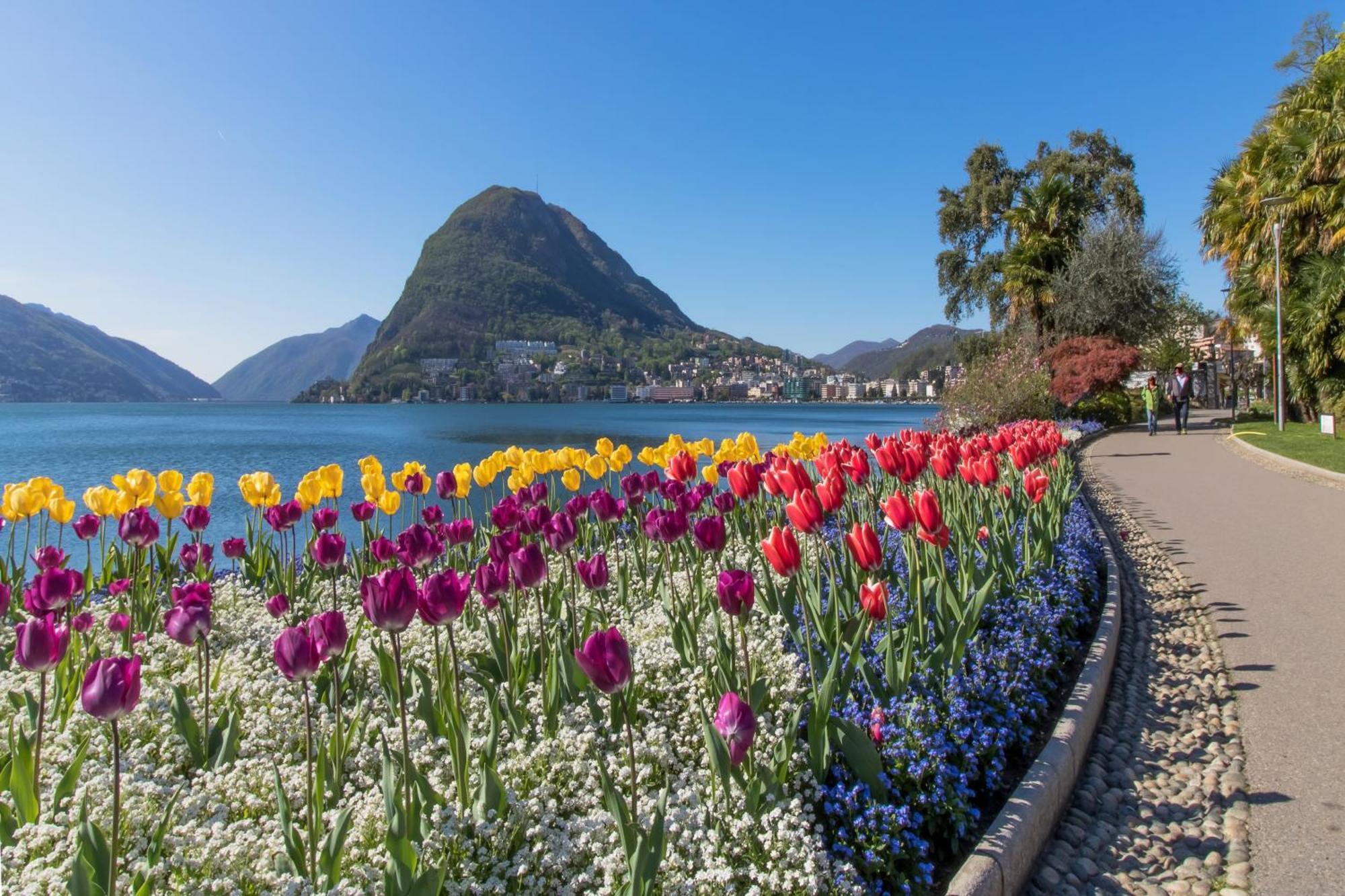 Casa Basilico - Happy Rentals Lugano Zewnętrze zdjęcie